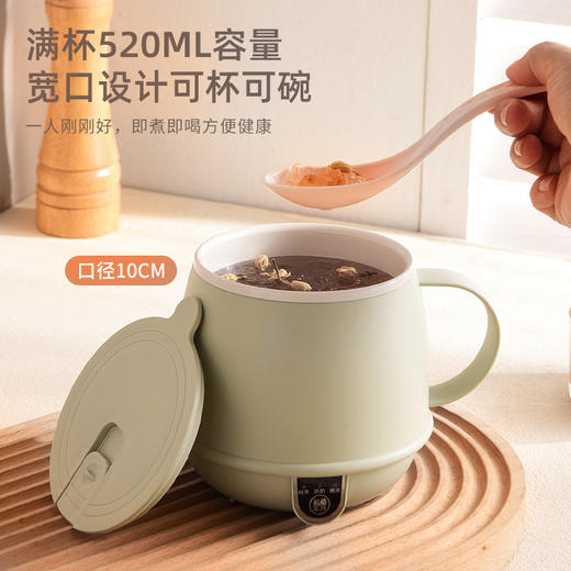 热奶杯热牛奶神器办公室一人电煮杯加热烧水杯早餐杯多功能养生杯 商品图1