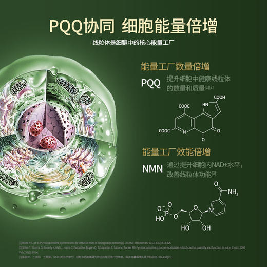 清美堂 N+18000·胶囊90粒 高纯NMN补充NAD+ 含PQQ麦角硫因【香港直邮】 商品图6