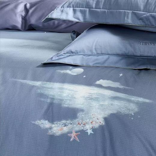 10楼 富安娜 独幅床单四件 大自然艺术家  星河拾光  吊牌价4380-4680元  活动价2199-2399元 商品图5