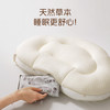 大朴A类母婴级如意枕   草本分区枕芯 商品缩略图3