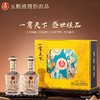 五粮液 52度 一尊天下礼盒 浓香型白酒 500ml*2瓶 商品缩略图0