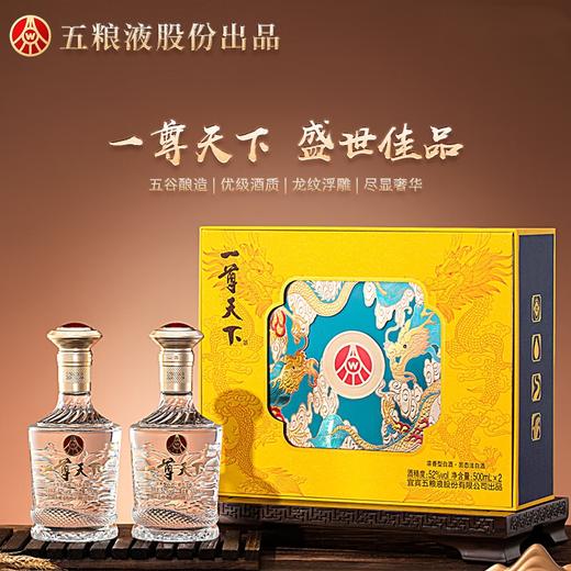 五粮液 52度 一尊天下礼盒 浓香型白酒 500ml*2瓶 商品图0