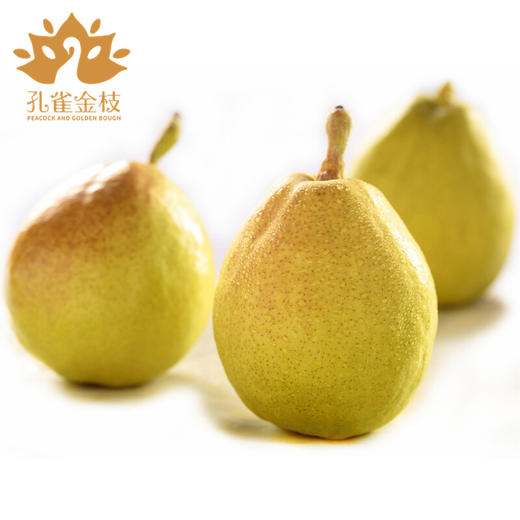 新疆孔雀金枝 树上熟库尔勒香梨 核心产区 当季采摘 脆甜多汁 商品图2