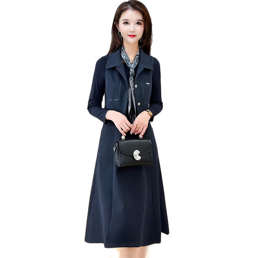 XY25LY9907马甲两件套连衣裙女新款2025年秋季洋气小个子中长款a字裙 商品图4