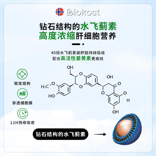 Biokost挪威高浓度草本奶蓟草护肝片水飞蓟胶囊90粒/瓶 商品图3
