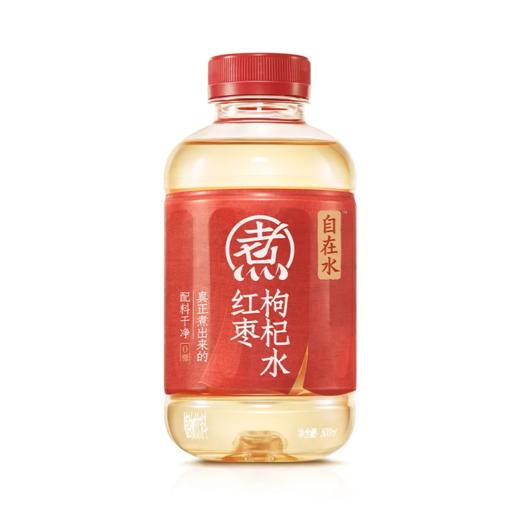 【超市】元气自在水红枣枸杞水植物饮料500ml 商品图0