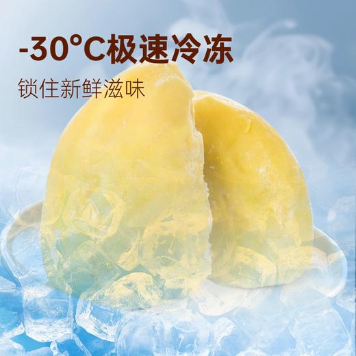 『叻油榴』马来西亚进口D197猫山王榴莲果肉树熟冷冻新鲜水果AA果果肉 商品图5