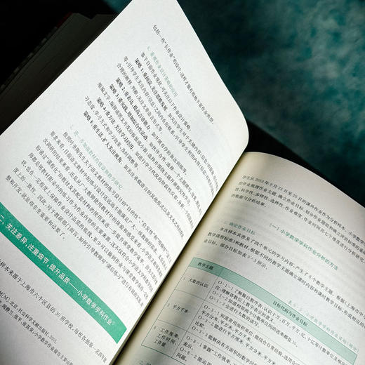 透析作业 基于30000份数据的研究 作业设计  教育变革的力量丛书 商品图10