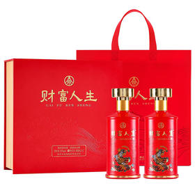 五粮液  财富人生 鸿运 52度 浓香型白酒（双瓶礼盒装）