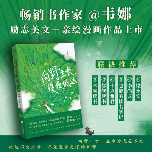 向野生长,慢慢抵达 商品图1