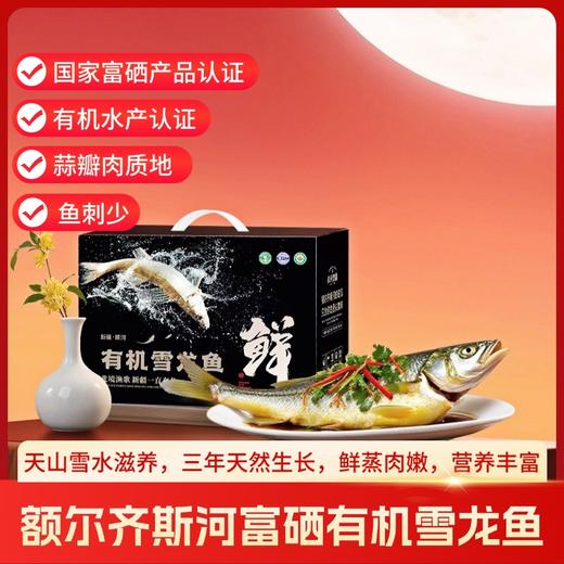 【顺丰冷链】新疆额尔齐斯河富硒有机雪龙鱼 淡水冷水鱼 无污染AWJM 商品图1