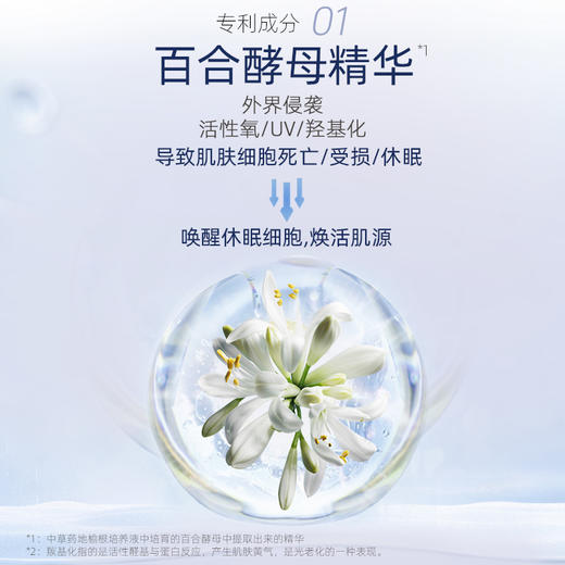 Majesta 玛嘉施特 娜丽丝院线角质调理擦拭水 180ml 商品图3