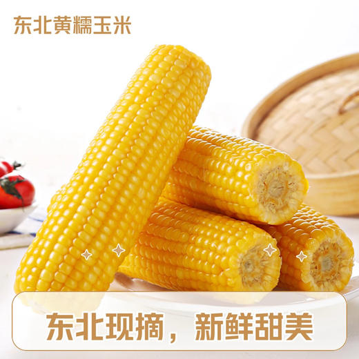 【48小时内发货】基地直发 | 生态黄糯玉米 | 吉林松原 商品图1
