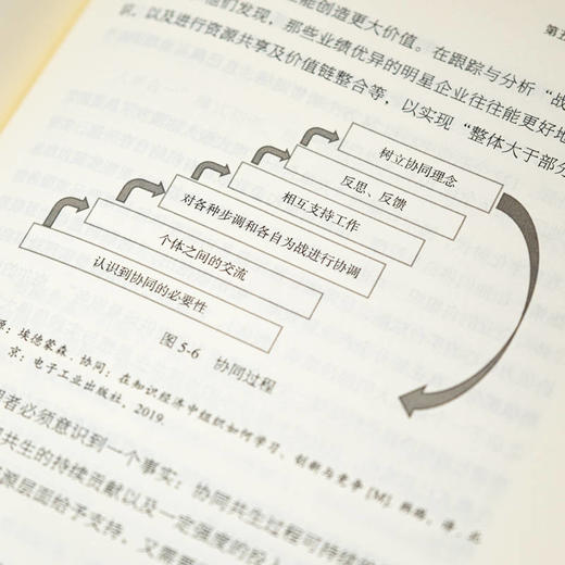 官网 协同共生论 组织进化与实践创新 陈春花 朱丽 刘超 徐石 中国管理学企业经营战略管理书籍 商品图4