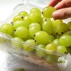 生态阳光玫瑰葡萄 | 合作生产 * Ecological Grapes（Sunshine rose） | Coproduction 商品缩略图4