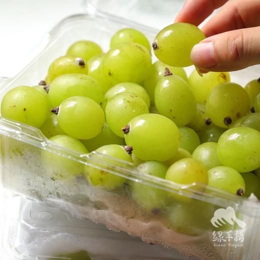 生态阳光玫瑰葡萄 | 合作生产 * Ecological Grapes（Sunshine rose） | Coproduction 商品图4