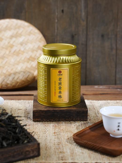 【老班章单株散茶】2025年头春头采古树单株，50克/罐 商品图0