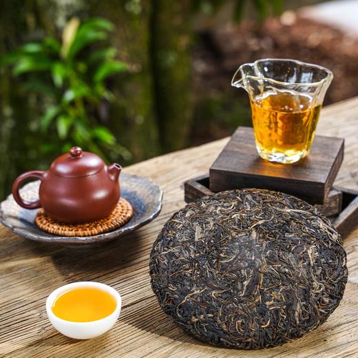 【掌柜私藏—茶王树】有钱难买的稀缺高货十年陈茶王树古树茶掌柜个人私藏产品量少稀珍拍5发6拍20发25 商品图5