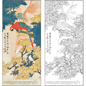 于非闇花鸟工笔画白描底稿《五色鹦鹉》临摹勾线高清打印稿FA23