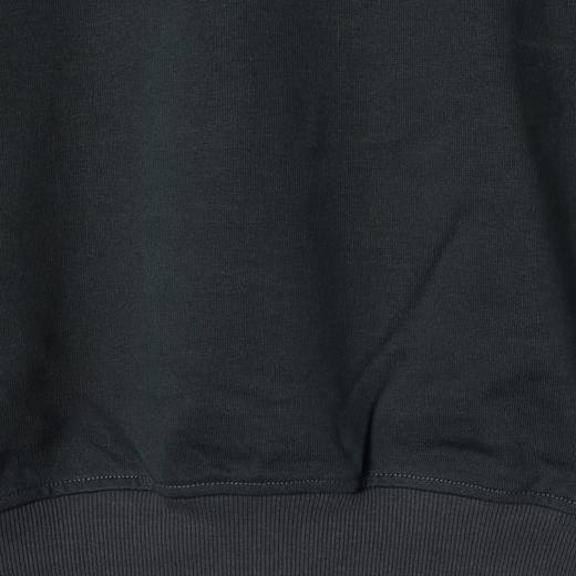 D902SDSA男士秋冬新款痞帅男装美式简约纯色圆领卫衣百搭时尚套头上衣 商品图3