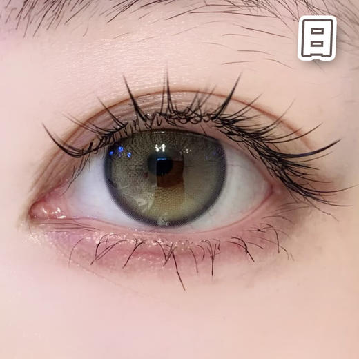#Double Gray 仙人掌班戟 灰绿色 14.5mm【10片装】进口日抛 商品图2