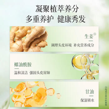 卓蓝雅 生姜控油洗发水800ml  （清爽控油洗发露洗头膏清爽 男女通用 ） 商品图7