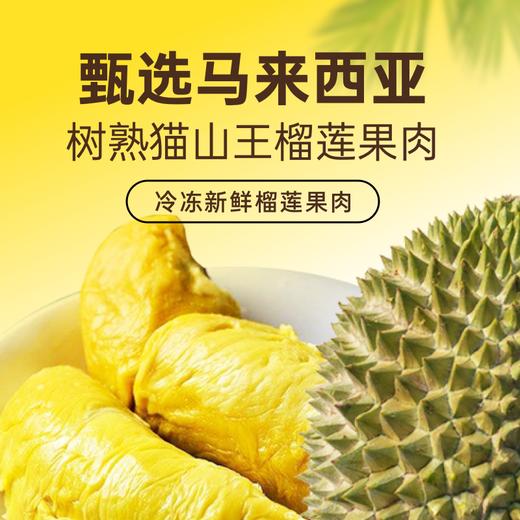 『叻油榴』马来西亚进口D197猫山王榴莲果肉树熟冷冻新鲜水果AA果果肉 商品图2