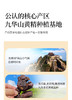 焉景有机九华黄精茶 商品缩略图4