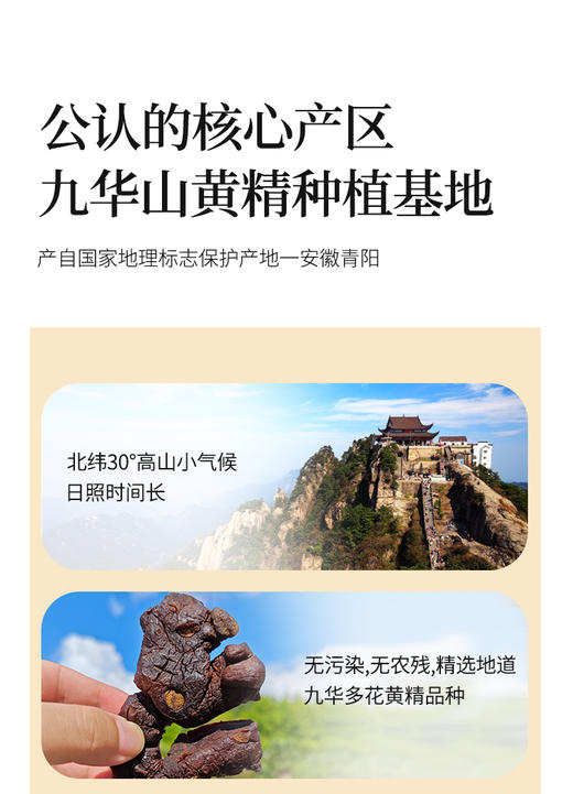 焉景有机九华黄精茶 商品图4