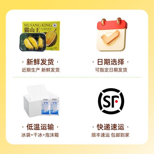 『叻油榴』马来西亚进口D197猫山王榴莲果肉树熟冷冻新鲜水果AA果果肉 商品图8