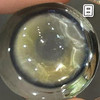 #Double Gray 仙人掌班戟 灰绿色 14.5mm【10片装】进口日抛 商品缩略图4