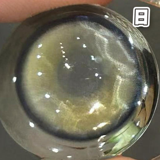 #Double Gray 仙人掌班戟 灰绿色 14.5mm【10片装】进口日抛 商品图4