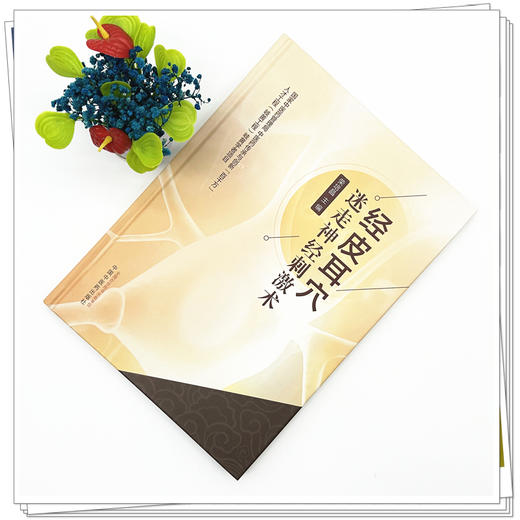 经皮耳穴迷走神经刺激术 荣培晶 主编 中国中医药出版社 商品图1