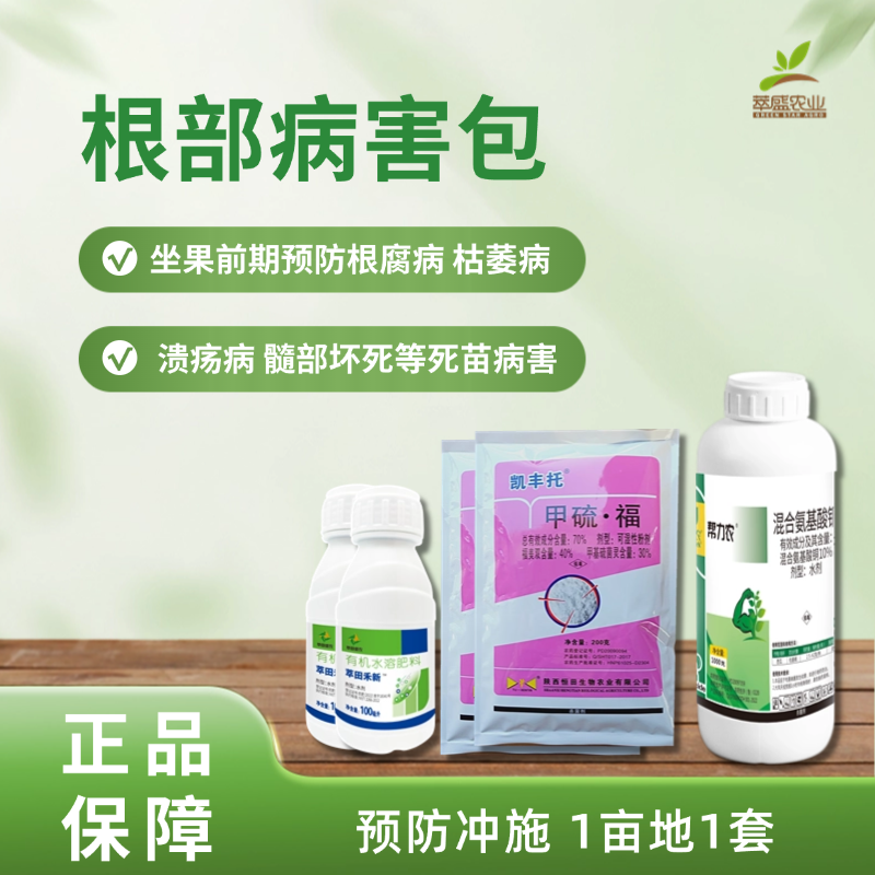 根部病害包