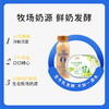 兰格格天边的额吉葡萄味180g*8盒+谷物包15g*8+熟酸奶210g*4瓶 商品缩略图2