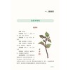 道地药食同源106味 郭秋岩 主编 详细介绍了古今所载的各种信息 包括种属 名称 性味归经 功效 药膳及古籍记载 中医古籍出版社 商品缩略图4
