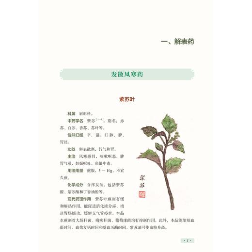 道地药食同源106味 郭秋岩 主编 详细介绍了古今所载的各种信息 包括种属 名称 性味归经 功效 药膳及古籍记载 中医古籍出版社 商品图4