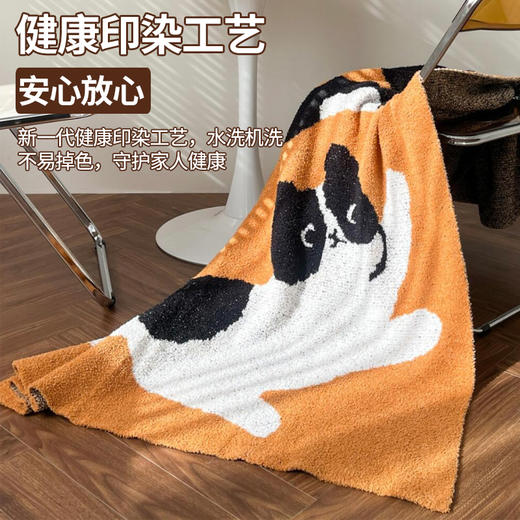 【品牌直发】加倍生活 加厚半边绒艺术毯 办公室午睡毯沙发盖毯空调毯午休四季加厚毯子汽车用毯 商品图3