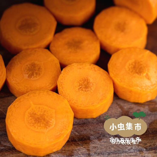 草原有机胡萝卜 5斤 | 合作农友生产，来自河北张家口，生产者：野菜夫人 *【公平贸易农人定价】 商品图5