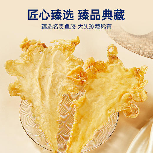 【内购专属 | 典藏款】典藏野生花胶皇（鳕鱼胶）140g 商品图2