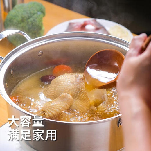 斯阁睿 斯阁睿煎炒锅 SGR-CJ006304不锈钢蒸锅 28cm 商品图3