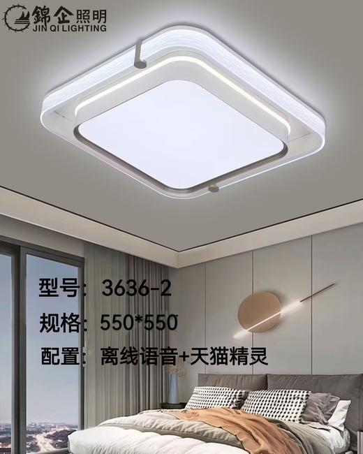 锦企 3636-2 商品图0