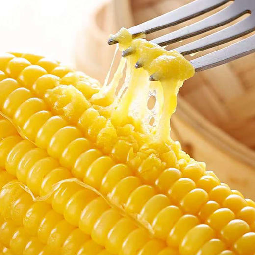 【48小时内发货】基地直发 | 生态黄糯玉米 | 吉林松原 商品图4