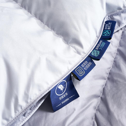 【爆】【6F】富安娜A类抗菌鹅绒被/富有安康，牌牌价9800~10800，双11活动价1999 商品图5