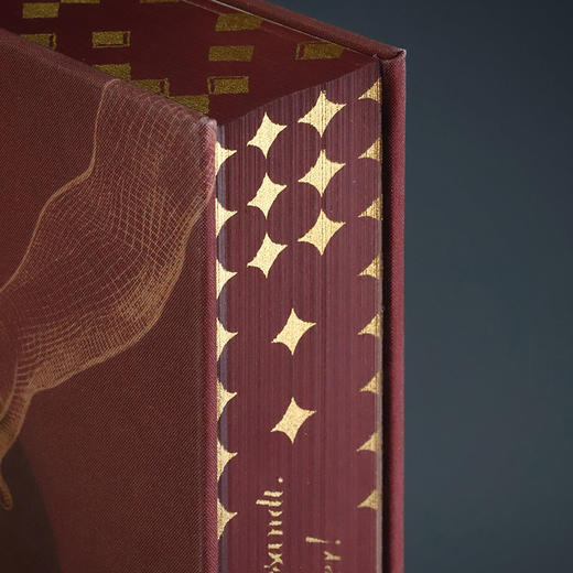 【特装版】可可与巧克力：时尚饮品、苦涩回味与众神的食粮 一口巧克力 半部人类史 ZUI甜蜜博物馆 科隆巧克力博物馆策划 社会科学文献出版社 商品图5