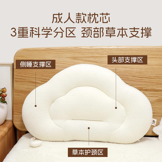 大朴A类母婴级如意枕   草本分区枕芯 商品图5