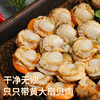 鲜项 大号冷冻带黄扇贝肉400g30-50粒 烧烤火锅食材 海鲜贝类 送礼 商品缩略图1