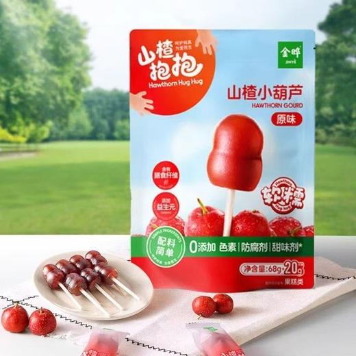 金晔山楂抱抱山楂小葫芦68g+20g 商品图0