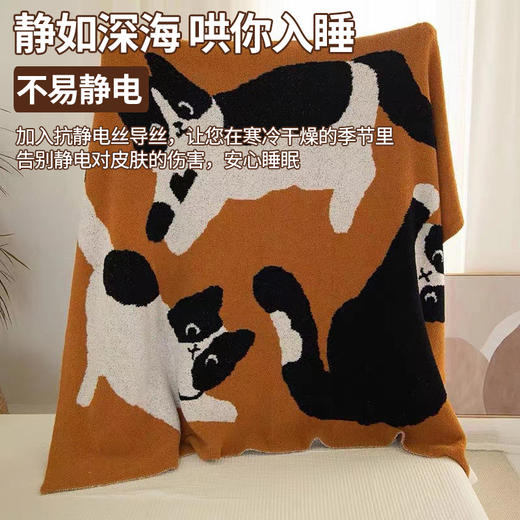 【品牌直发】加倍生活 加厚半边绒艺术毯 办公室午睡毯沙发盖毯空调毯午休四季加厚毯子汽车用毯 商品图4