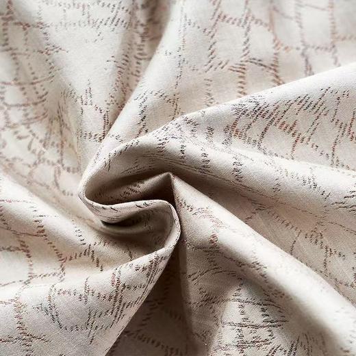 10楼 富安娜 维 莎款 床单四件 / 香榭巴黎 / 单被加大 / 咖啡/ 229*230cm   吊牌价7980元 活动价3699元 商品图3